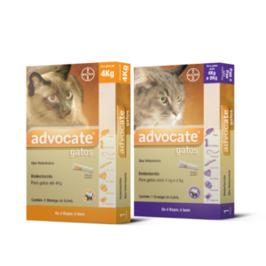 Antipulgas Bayer Advocate para Gatos